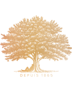 Pineau des Charentes Domaine du Chêne I La Cognathèque